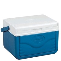 Travel Cooler